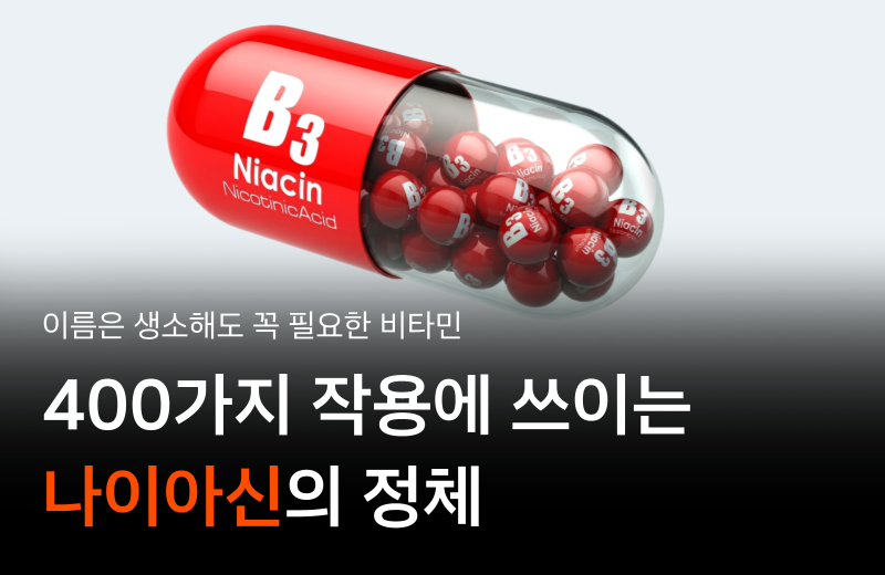 niacin-what-is-vitamin-b3.png