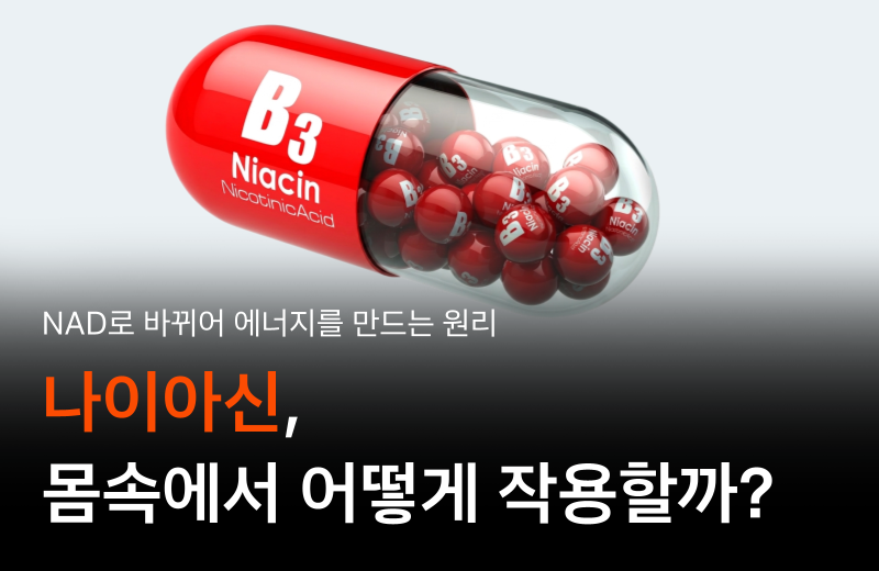 niacin-how-it-works-nad.png