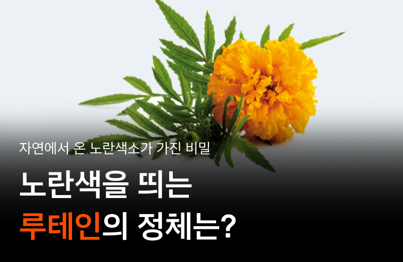 lutein-what-is-macular-carotenoid.png