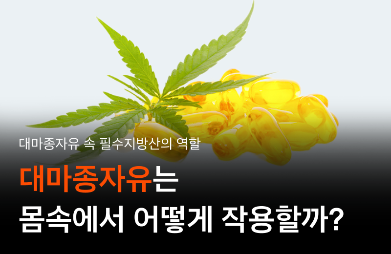 hemp-seed-oil-how-it-works-fatty-acid.png