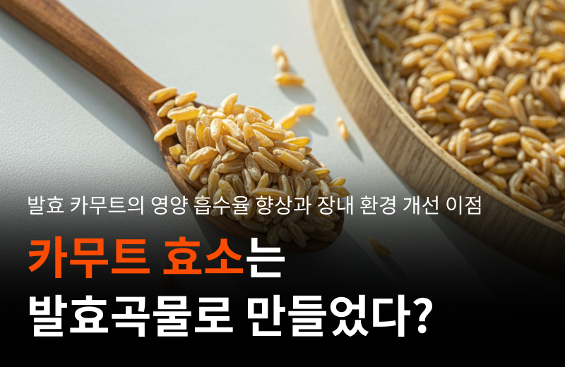 kamut-fermented-enzyme-digestion-gut-health.png