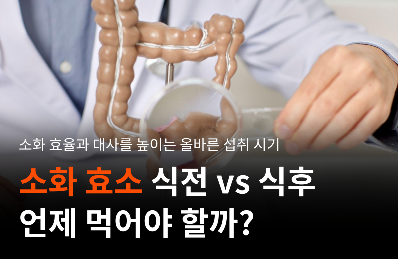 digestive-enzymes-intake-timing-meal.png