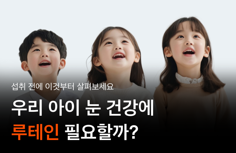 이전글