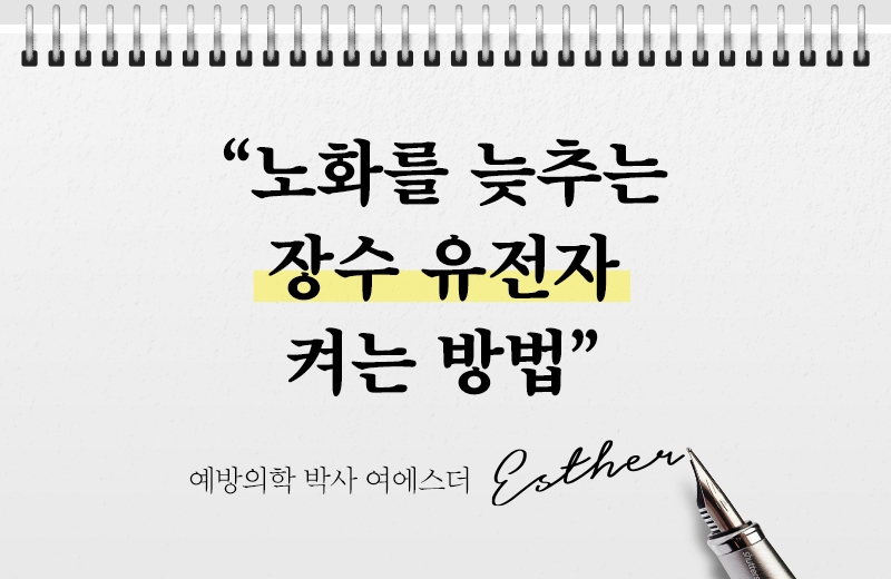 다음글
