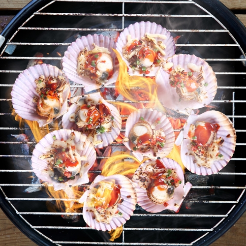[바다원] 산지직송 국내산 제철 홍가리비 2kg (약 40-44미)