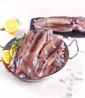 [바다원] 산지직송 통찜용 오징어 500g