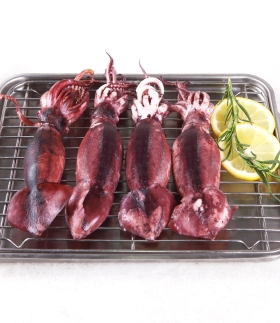 [바다원] 산지직송 통찜용 오징어 500g 3팩