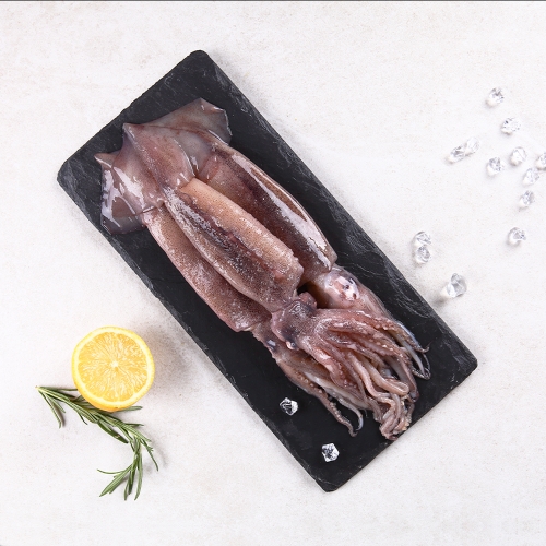[바다원] 산지직송 통찜용 오징어 500g 3팩