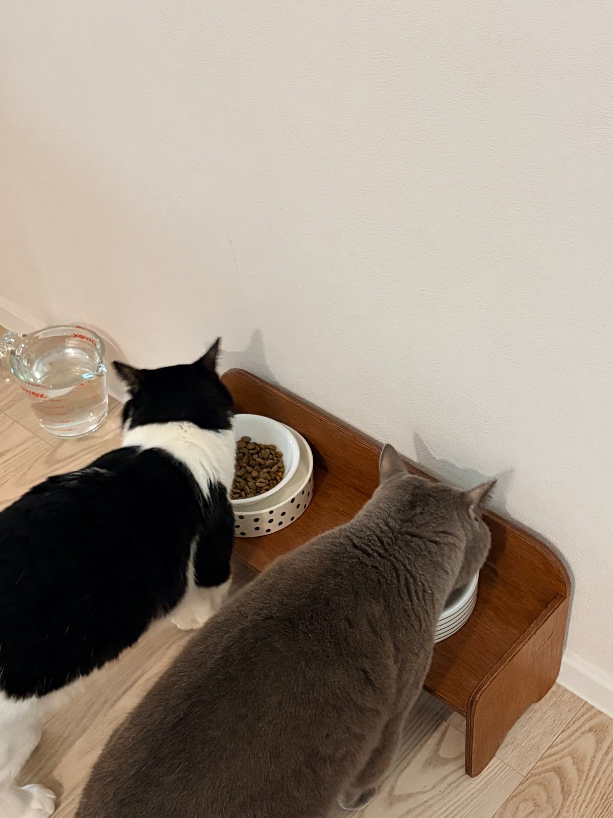 KakaoTalk_20260930_132934454.jpg