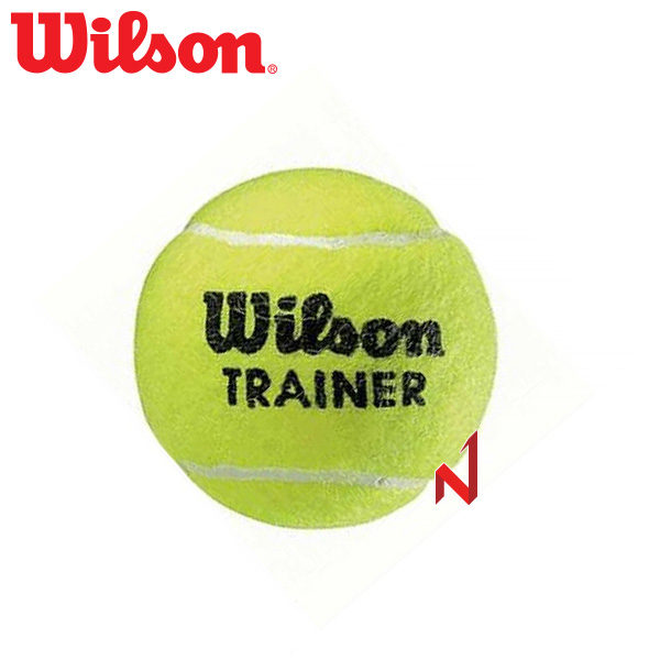 윌슨 테니스공 트레이너볼 연습구 WRT132200 1볼