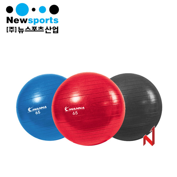 뉴스포츠 짐볼 55cm 랜덤발송