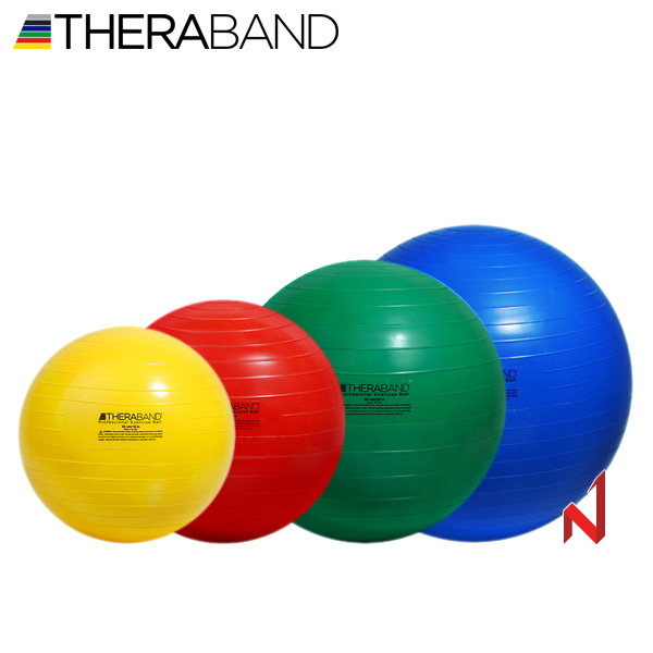 세라밴드 짐볼 엑서사이즈볼 4단계