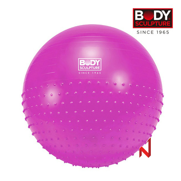 바디스컬쳐 투웨이짐볼 DYBSBTGB13