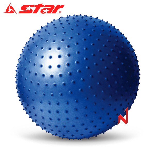 스타 헬스용품 마사지 짐볼 블루 EB220-07