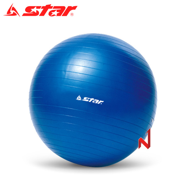 스타 헬스용품 미니 짐볼 블루 EB210-07