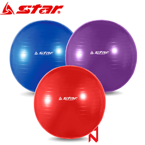 스타 헬스용품 짐볼 EB200 발펌프 포함
