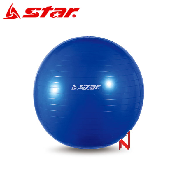 스타 헬스용품 짐볼 55cm EB240-07 발 펌프 포함