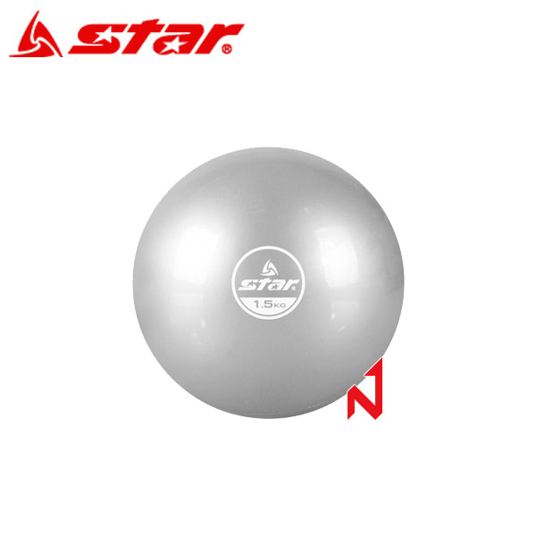 스타 헬스용품 웨이트 볼 EU3600 실버