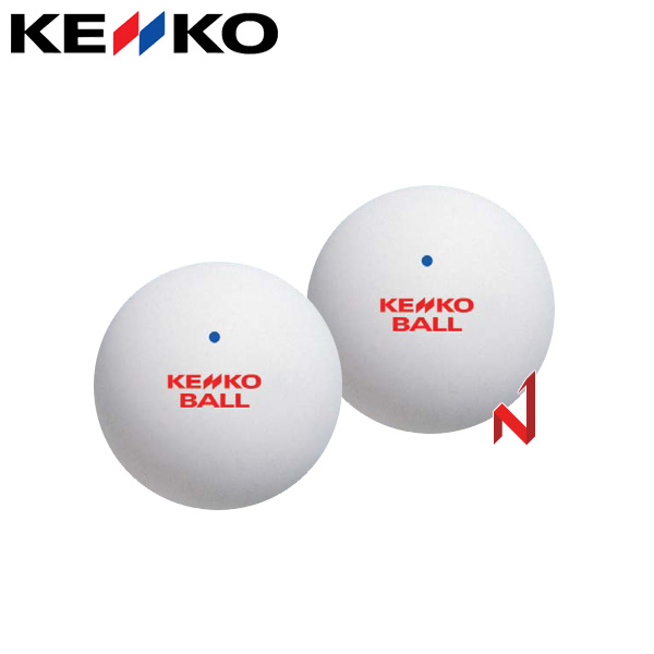 겐코 정구공 TSOW-V 1세트=2볼