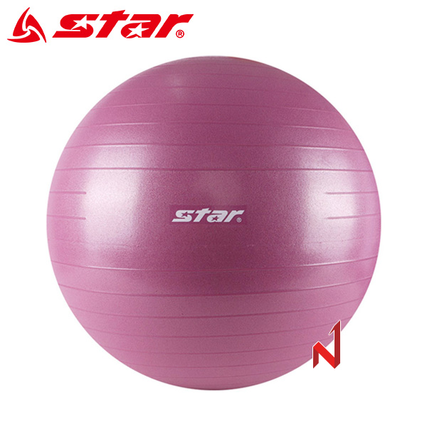 스타 헬스용품 짐볼 ANTI-BURST (65cm) EBF017 바이올렛