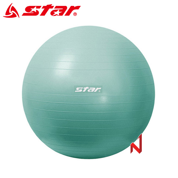 스타 헬스용품 짐볼 ANTI-BURST (55cm) EBF016 민트
