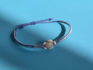 파도를 가르는 거북이