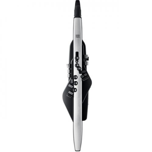 ROLAND (Aerophone PRO) 롤랜드 에어로폰프로전자색소폰 AE-30 (AE30)