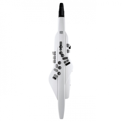 ROLAND 롤랜드 (Aerophone) 에어로폰 전자색소폰 AE-20W (AE20W) 화이트색상
