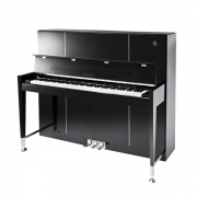 YOUNG CHANG ALBERT WEBER 영창 알버트웨버 업라이트 피아노 AW125B BP