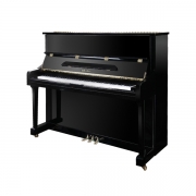 YOUNG CHANG WEBER 영창 웨버 업라이트 피아노 WB121E BP