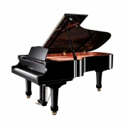 YOUNG CHANG ALBERT WEBER 영창 알버트웨버 그랜드 피아노 AW275A