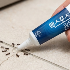 맥스포스 퀀텀 12g