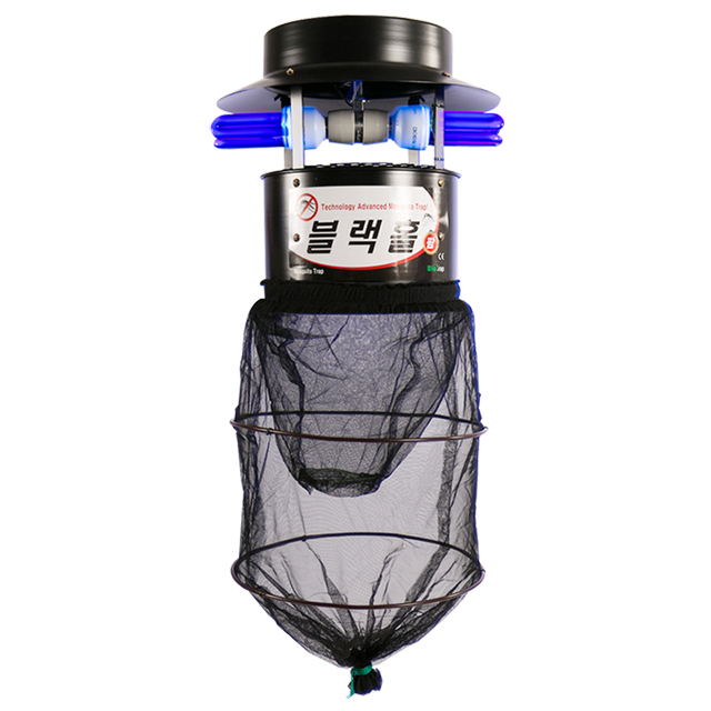 블랙홀팜