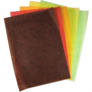 친환경 파치먼트 페이퍼