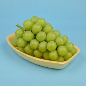 TY-20(노랑)