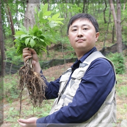 유재덕의 산양산삼 12년근 A급(6시 내고향 방영)
