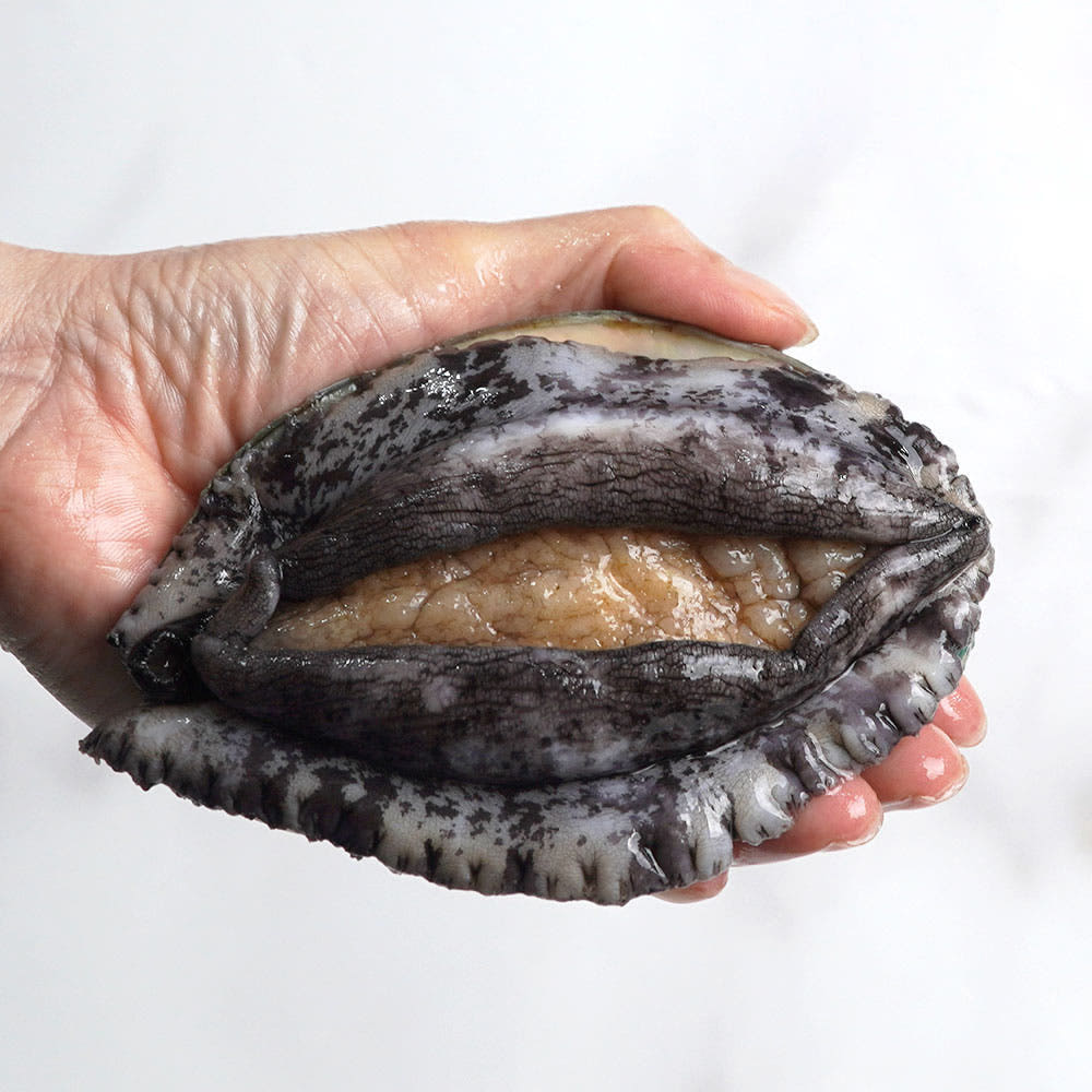 신선도 보장 완도산지직송 활전복1kg 6미부터