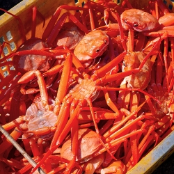[남도청년] 홍게 4kg 비품 몸통 60%내외 다리 70%내외