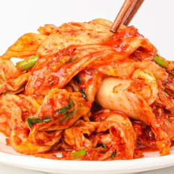 [행사][남도청년] 전라도식 썰은김치 맛김치 5kg / 얼갈이 겉절이 3kg
