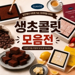 [썸머특가][수아비떼] 벨기에 최고급 카카오 얼려 먹는 생초콜릿 모음전