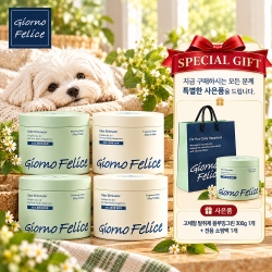 ★연말결산빅세일★ [죠르노펠리체] 고체형 탈취제 300g 4개 (향료프리2, 블루밍그린2)+(사은품) 고체형 탈취제 1개(블루밍그린)+전용쇼핑백 1개
