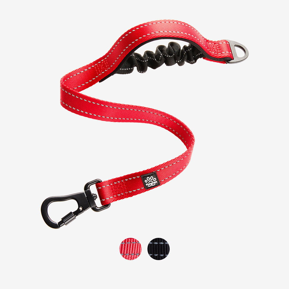 멍템 안전핸들 숏 리드줄 60cm 강철고리