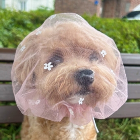 멍템 플라워 페이스커버