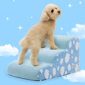 곡선형 구름계단