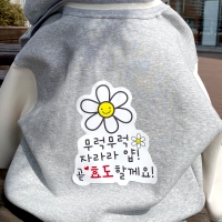 스승의날 일회용 의류 스티커 어린이집 이벤트 문구 카네이션 티셔츠