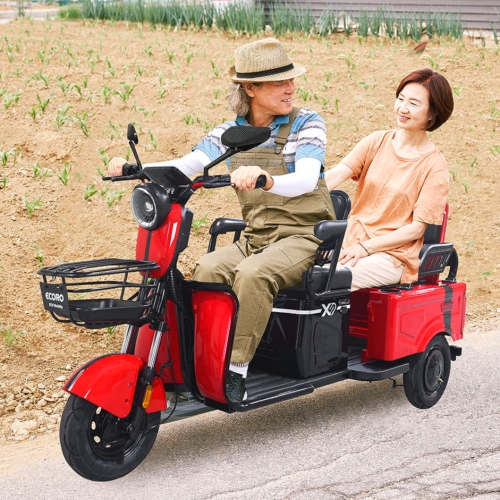 AU테크 2인용 전기스쿠터 에코로 X5