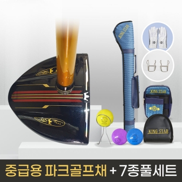 킹스타 파크골프 올인원세트 KS-302 중급용