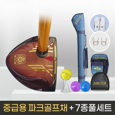 킹스타 파크골프 올인원세트 KS-502 중급용