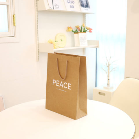 비비코지 체크 아레즈 숄더백1