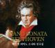 베토벤 피아노 소나타 전곡집 : Beethoven Complete Piano Sonata(8CD)
